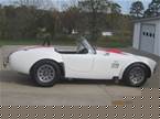 1967 Ford Shelby Picture 2