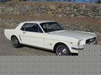 1964 Ford Mustang Picture 2