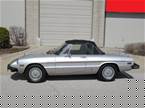 1981 Alfa Romeo Spider Picture 2