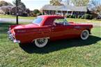 1955 Ford Thunderbird Picture 2