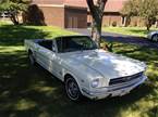 1964 Ford Mustang Picture 2