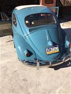 1961 Volkswagen Beetle Picture 2