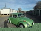 1970 Volkswagen Beetle Picture 2