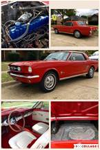 1966 Ford Mustang Picture 2