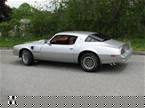 1977 Pontiac Trans Am Picture 2