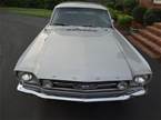 1966 Ford Mustang Picture 2