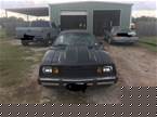 1979 Ford Pinto Picture 2