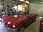 1965 Ford Mustang Picture 2