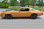 1981 Chevrolet Camaro Picture 2