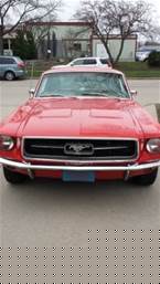 1967 Ford Mustang Picture 2
