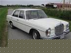 1966 Mercedes 250SE Picture 2