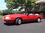 1993 Ford Mustang Picture 2