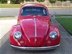 1966 Volkswagen Beetle Picture 2