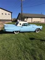 1957 Ford Thunderbird Picture 2