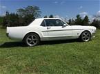 1965 Ford Mustang Picture 2