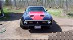 1971 Ford Mustang Picture 2