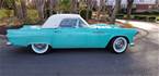 1955 Ford Thunderbird Picture 2