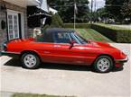 1986 Alfa Romeo Spider Picture 2