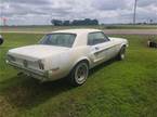 1967 Ford Mustang Picture 2