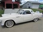 1956 Ford Thunderbird Picture 2