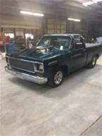 1976 Chevrolet Short Box Picture 2