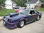 1981 Ford Mustang Picture 2