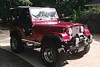 1980 Jeep CJ5 Picture 2