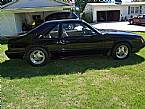 1985 Ford Mustang Picture 2