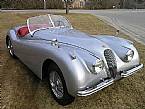 1953 Jaguar XK120 Picture 2