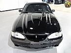 1995 Ford Mustang Picture 2