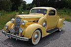 1937 Packard 120 Picture 2