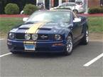 2006 Ford GT500KR Picture 2