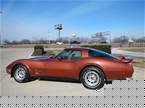 1981 Chevrolet Corvette Picture 2