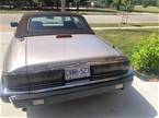 1992 Jaguar XJS Picture 2