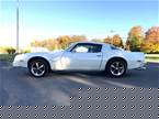 1975 Pontiac Firebird Picture 2