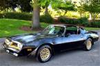 1977 Pontiac Trans Am Picture 2