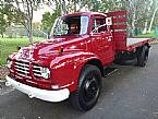 1969 GMC Bedford Picture 2