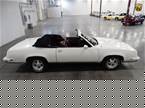 1983 Oldsmobile Cutlass Picture 2