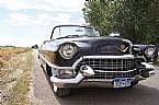 1955 Cadillac Eldorado Picture 2