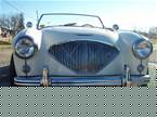 1956 Austin Healey 100-4 Picture 2
