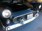 1956 Ford Thunderbird Picture 2