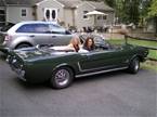 1965 Ford Mustang Picture 2