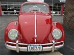 1961 Volkswagen Beetle Picture 2
