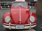 1961 Volkswagen Beetle Picture 2