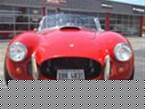 1966 Shelby Cobra Picture 2