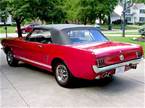 1966 Ford Mustang Picture 2