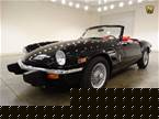 1977 Triumph Spitfire Picture 2