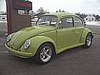 1969 Volkswagen Bug Picture 2