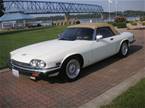 1988 Jaguar XJS Picture 2