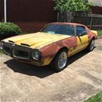 1971 Pontiac Firebird Picture 2